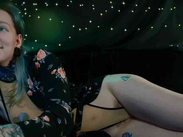 LittleSpaceMouse- webcam