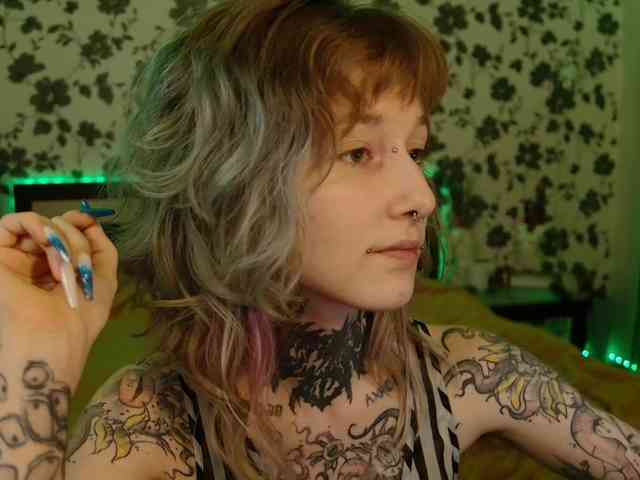 LittleSpaceMouse- webcam