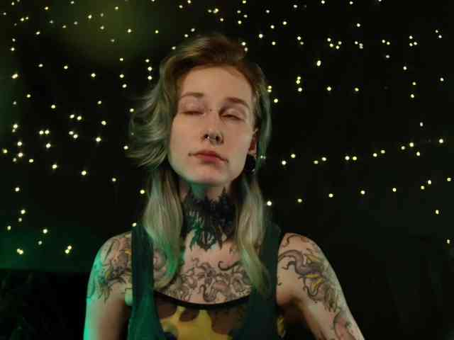 LittleSpaceMouse- webcam