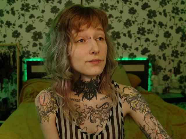 LittleSpaceMouse- webcam