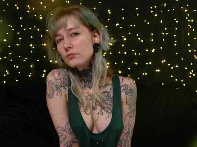 LittleSpaceMouse- webcam