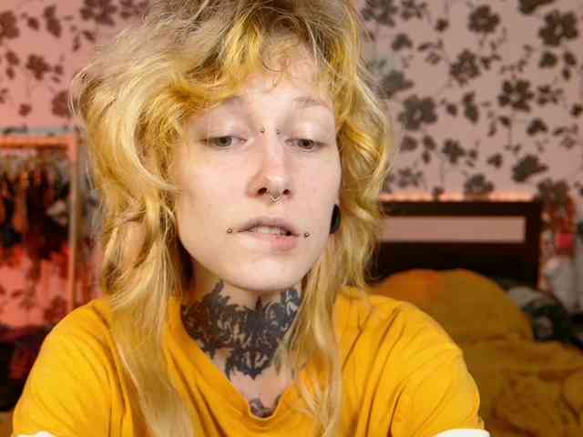 LittleSpaceMouse- webcam