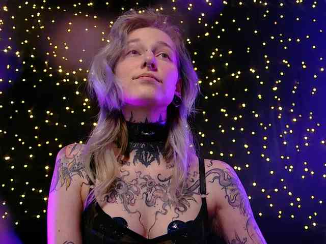 LittleSpaceMouse- webcam