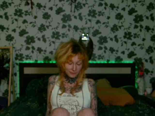 LittleSpaceMouse- webcam