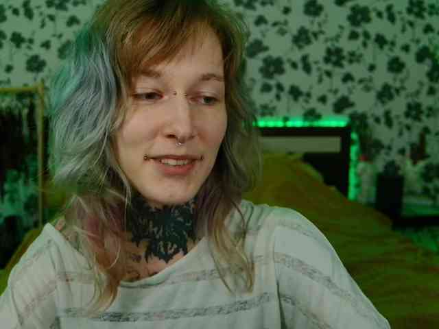 LittleSpaceMouse- webcam