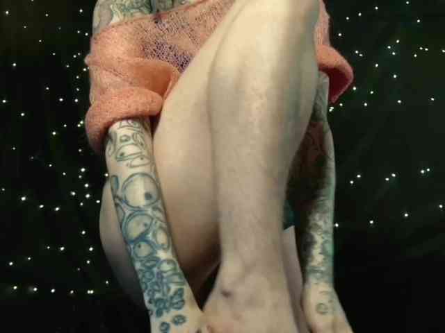 LittleSpaceMouse- webcam