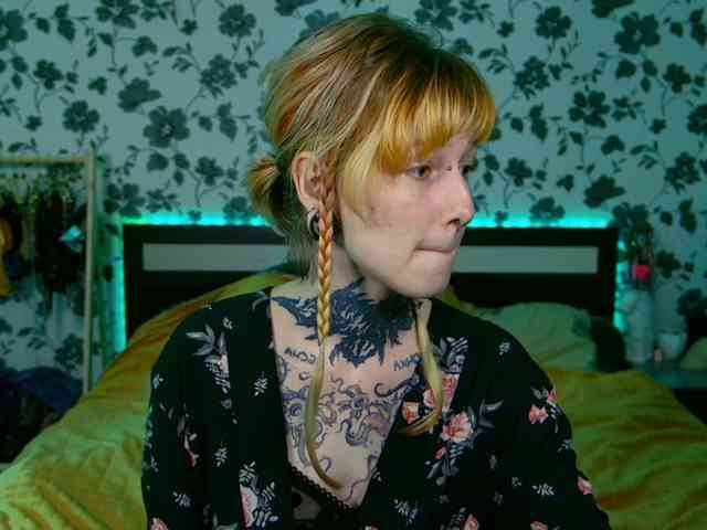 LittleSpaceMouse- webcam