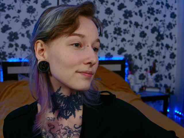 LittleSpaceMouse- webcam
