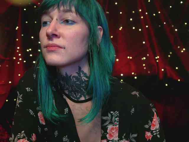 LittleSpaceMouse- webcam