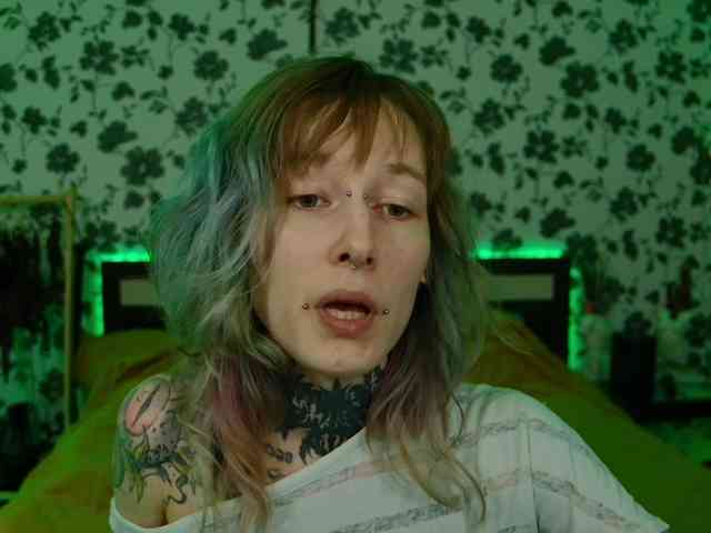 LittleSpaceMouse- webcam