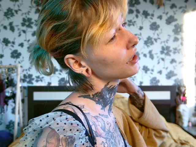 LittleSpaceMouse- webcam