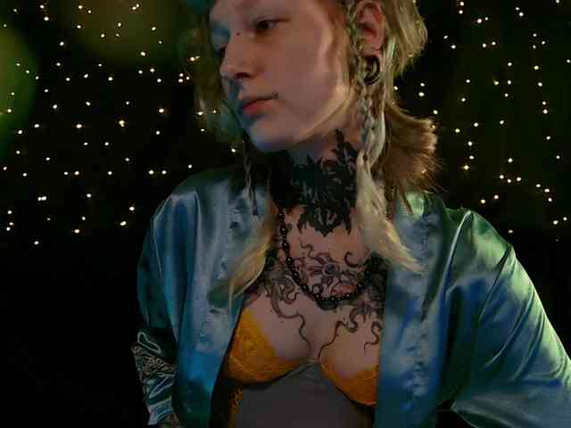 LittleSpaceMouse- webcam