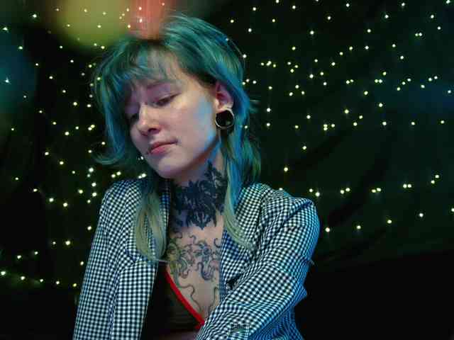 LittleSpaceMouse- webcam