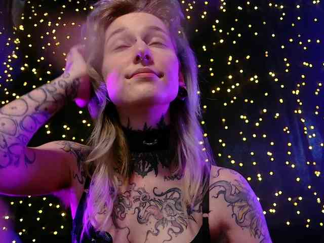 LittleSpaceMouse- webcam