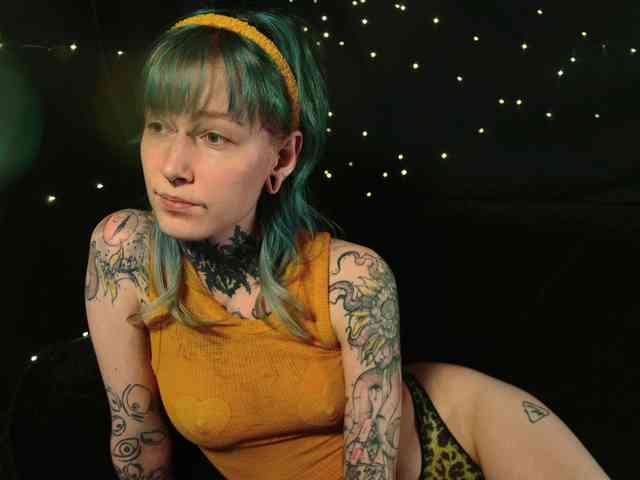 LittleSpaceMouse- webcam