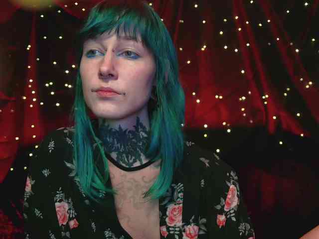 LittleSpaceMouse- webcam