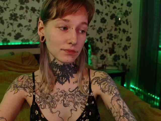LittleSpaceMouse- webcam