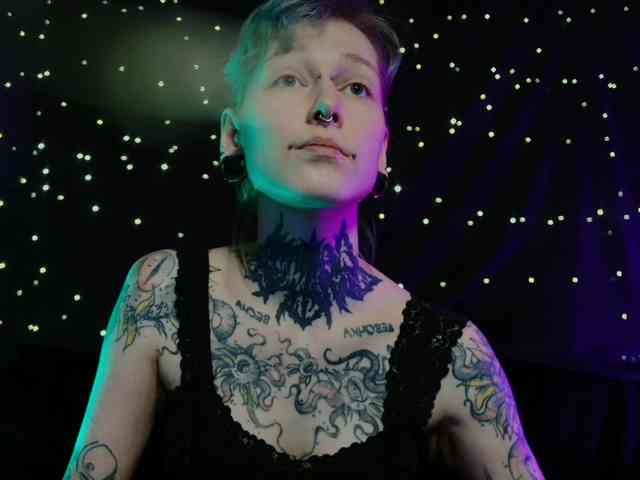 LittleSpaceMouse- webcam