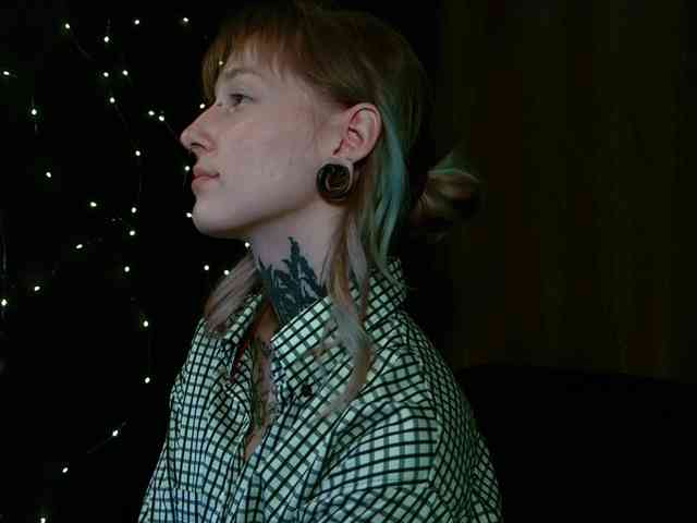 LittleSpaceMouse- webcam