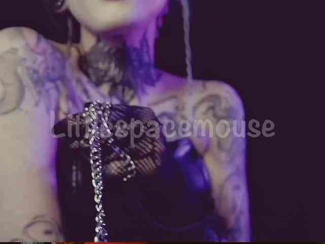 LittleSpaceMouse- webcam