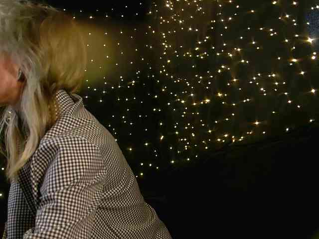 LittleSpaceMouse- webcam