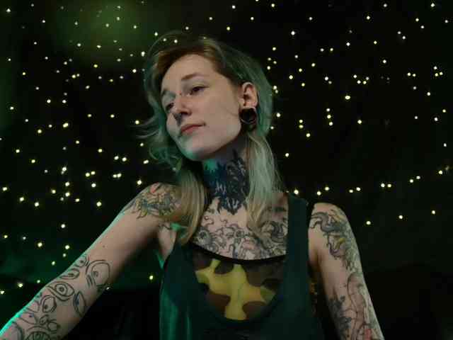 LittleSpaceMouse- webcam