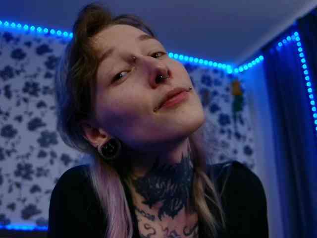 LittleSpaceMouse- webcam
