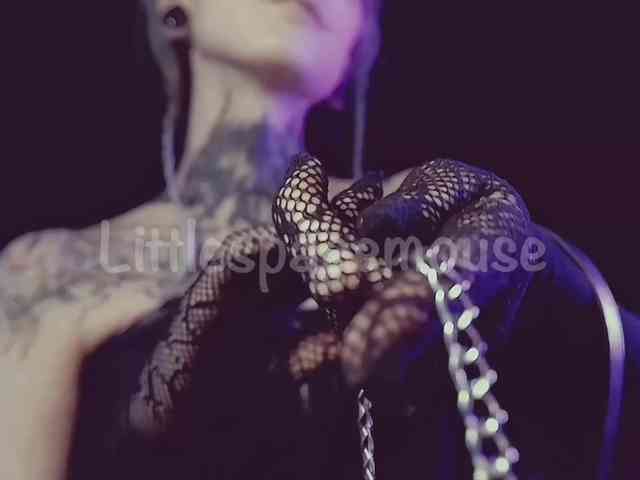 LittleSpaceMouse- webcam