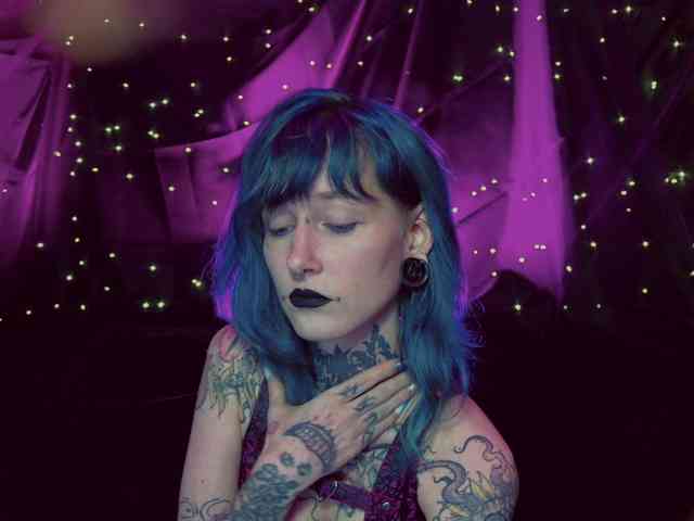 LittleSpaceMouse- webcam