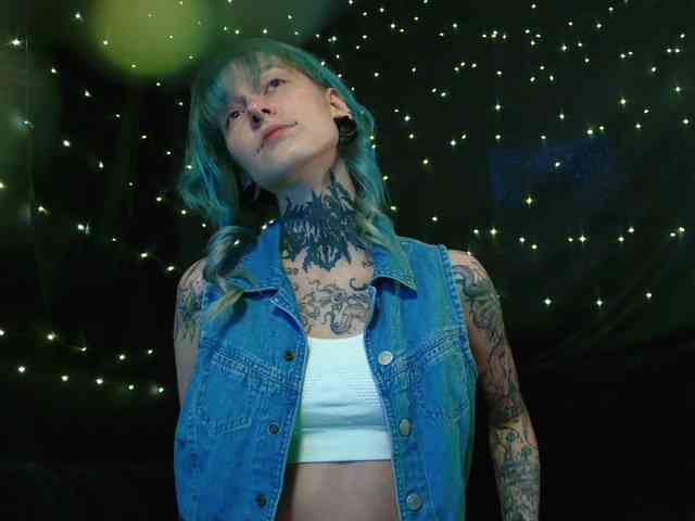 LittleSpaceMouse- webcam