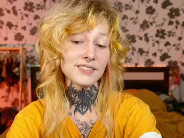 LittleSpaceMouse- webcam