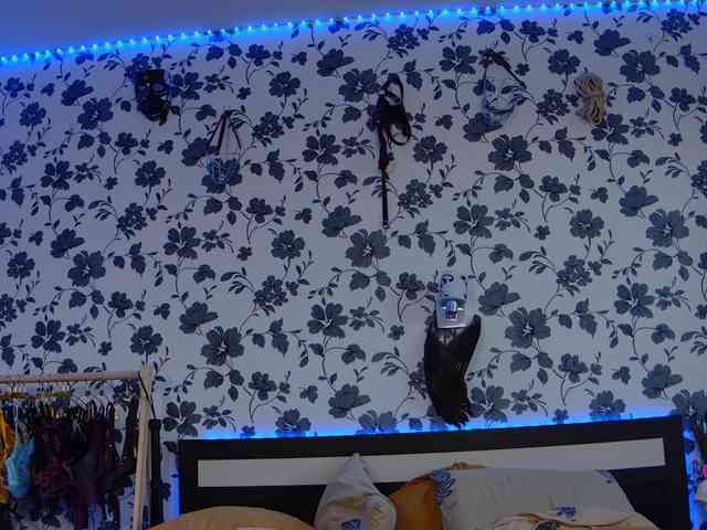 LittleSpaceMouse- webcam