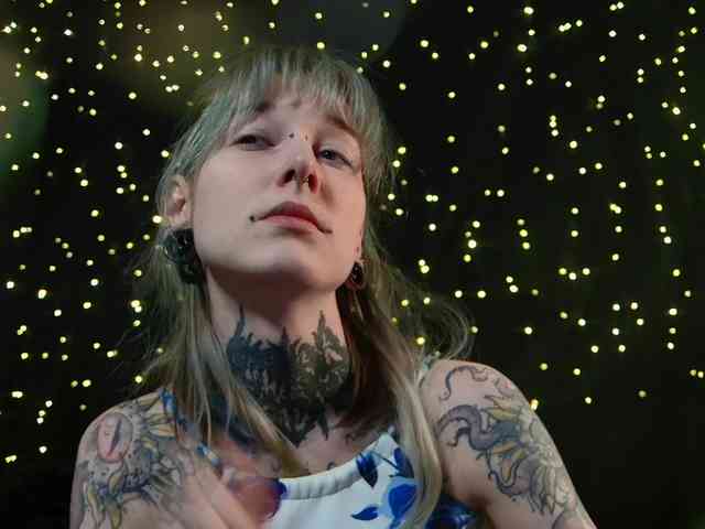 LittleSpaceMouse- webcam