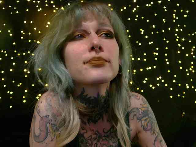 LittleSpaceMouse- webcam