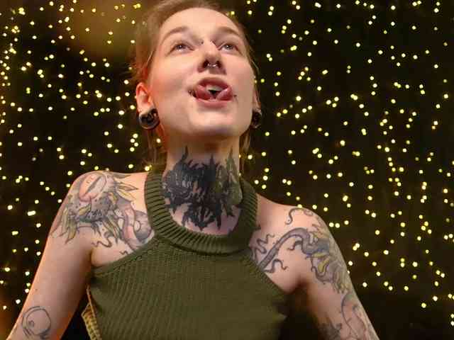 LittleSpaceMouse- webcam