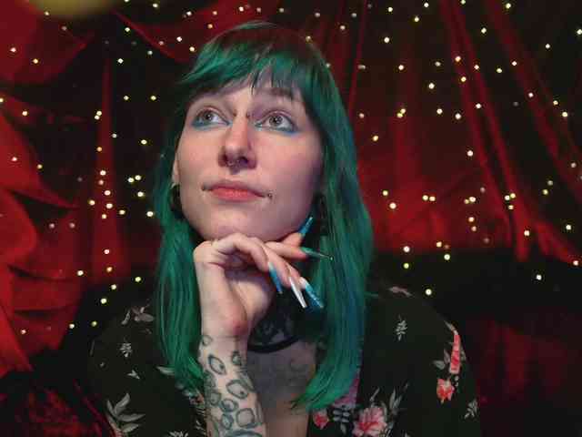 LittleSpaceMouse- webcam