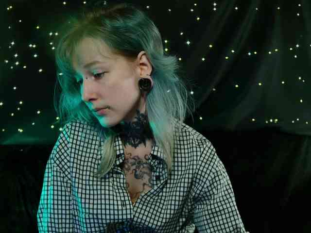 LittleSpaceMouse- webcam