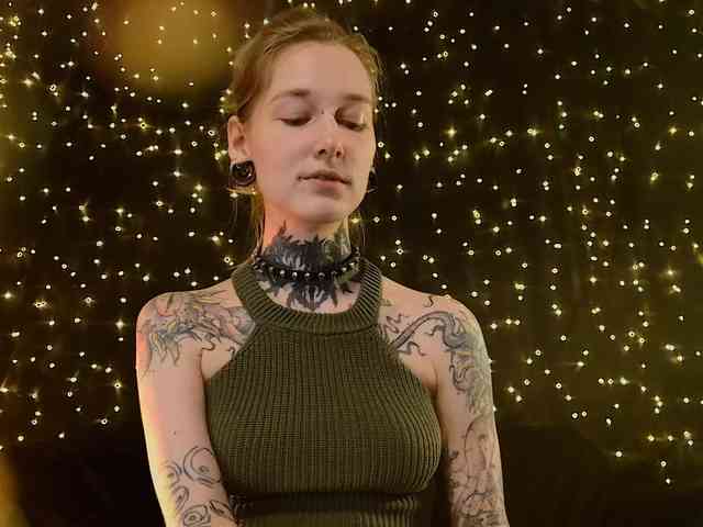 LittleSpaceMouse- webcam