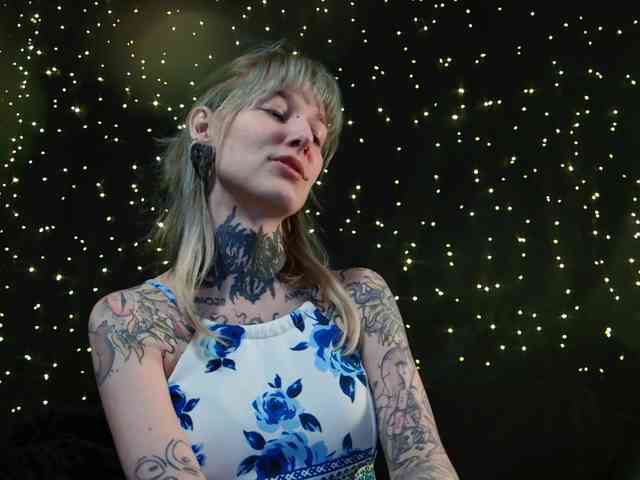 LittleSpaceMouse- webcam