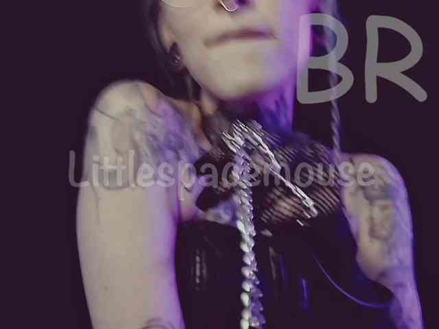 LittleSpaceMouse- webcam