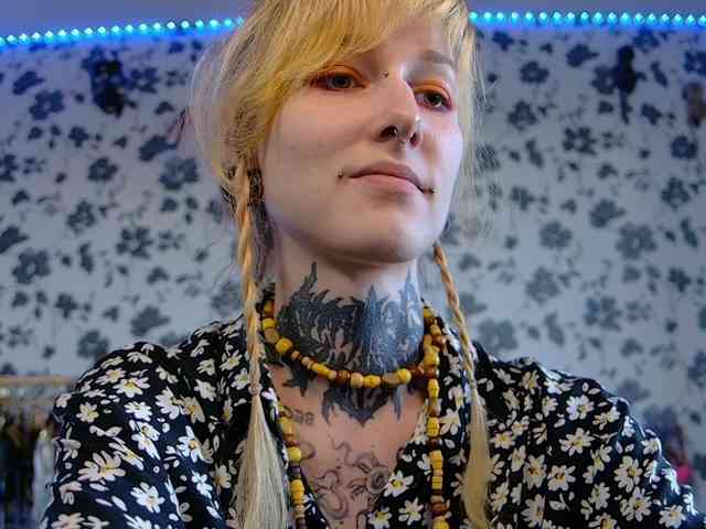 LittleSpaceMouse- webcam