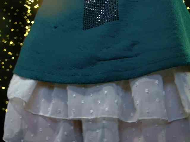 LittleSpaceMouse- webcam