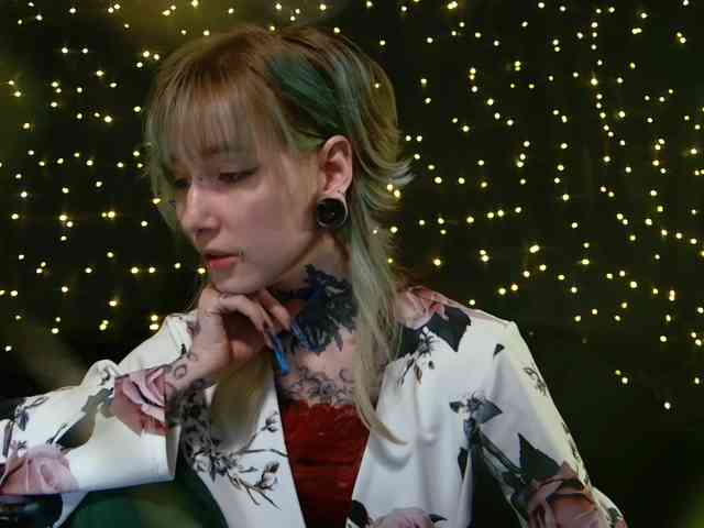 LittleSpaceMouse- webcam