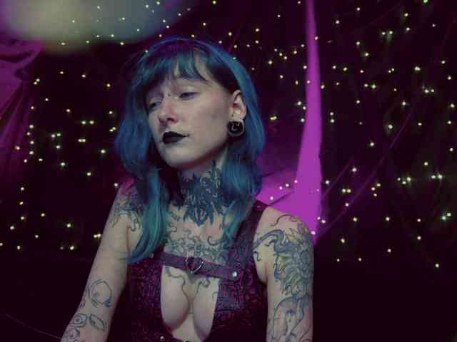 LittleSpaceMouse- webcam