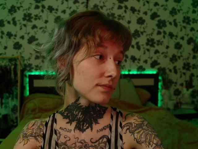 LittleSpaceMouse- webcam