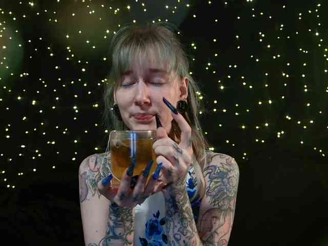 LittleSpaceMouse- webcam