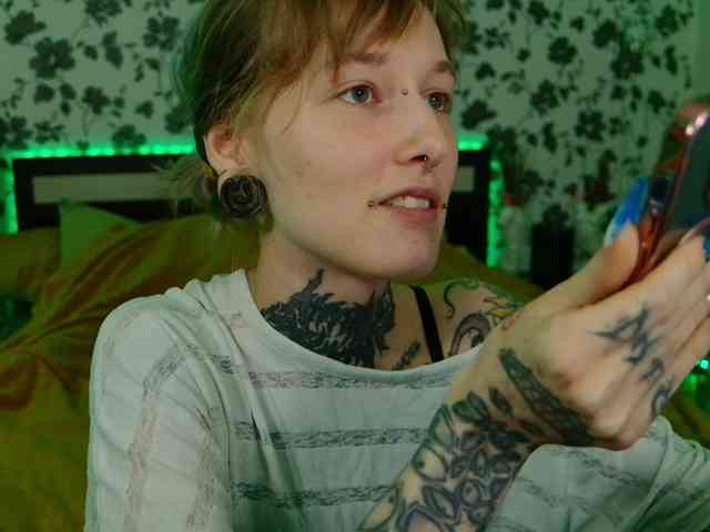 LittleSpaceMouse- webcam