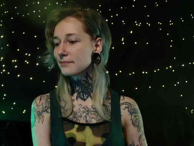 LittleSpaceMouse- webcam