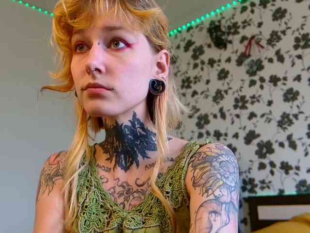 LittleSpaceMouse- webcam
