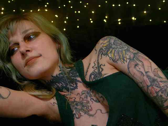 LittleSpaceMouse- webcam